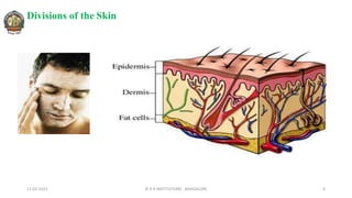Dist Skin Stucture of skin relating to problems like dryskin, acne, pigmentation.pptx