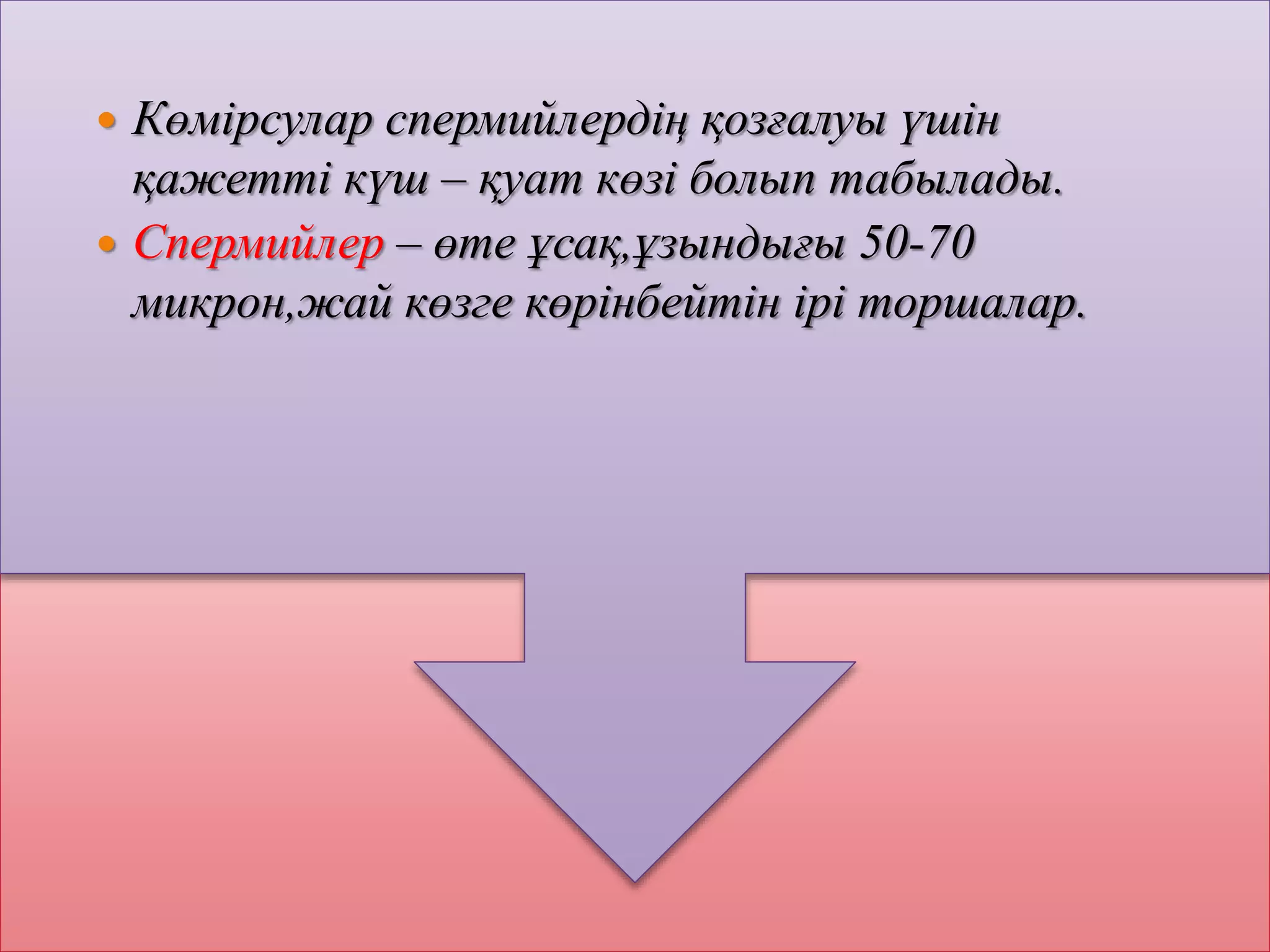 Жас қыздардың алғашқы жыныстық қатынасы