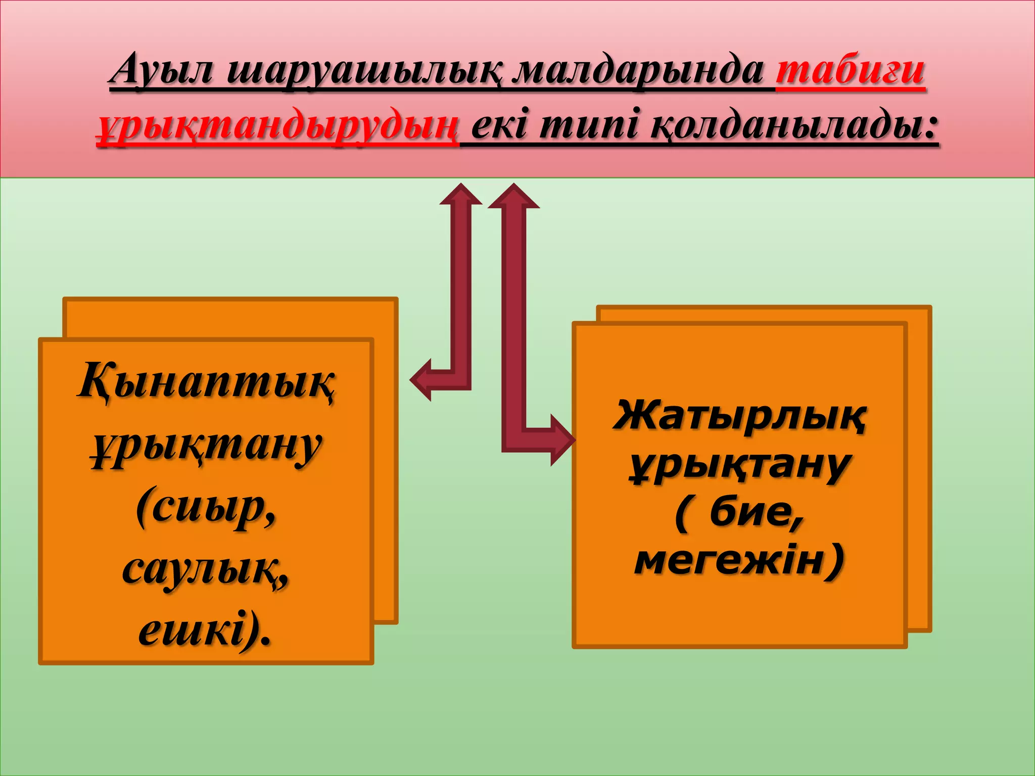 Бөтен порно табылды