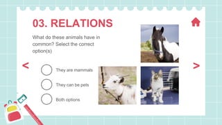 03. RELATIONS
What do these animals have in
common? Select the correct
option(s)
Both options
They are mammals
They can be pets
>
<
 
