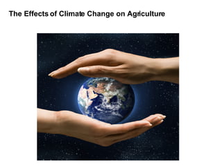The Effects of Climate Change on Agriculture  