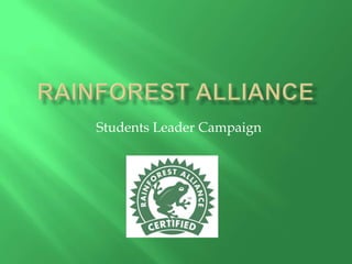 Rainforest Alliance Students Leader Campaign 