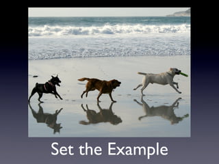 How to be a Better Student Leader