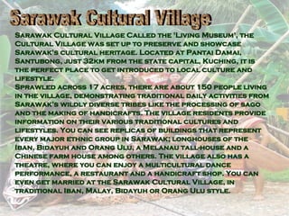 Sarawak Cultural Village Called the 'Living Museum', the Cultural Village was set up to preserve and showcase Sarawak's cultural heritage. Located at Pantai Damai, Santubong, just 32km from the state capital, Kuching, it is the perfect place to get introduced to local culture and lifestyle.  Sprawled across 17 acres, there are about 150 people living in the village, demonstrating traditional daily activities from Sarawak's wildly diverse tribes like the processing of sago and the making of handicrafts. The village residents provide information on their various traditional cultures and lifestyles. You can see replicas of buildings that represent every major ethnic group in Sarawak; longhouses of the Iban, Bidayuh and Orang Ulu, a Melanau tall-house and a Chinese farm house among others. The village also has a theatre, where you can enjoy a multicultural dance performance, a restaurant and a handicraft shop. You can even get married at the Sarawak Cultural Village, in traditional Iban, Malay, Bidayuh or Orang Ulu style. Sarawak Cultural Village  