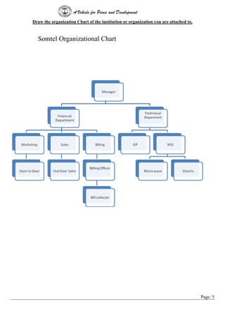 A Vehicle for Peace and Development
Page: 5
Draw the organization Chart of the institution or organization you are attached to.
Somtel Organizational Chart
 