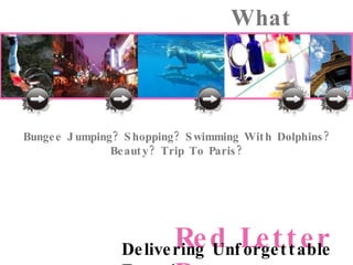 What Interests You?   Bungee Jumping? Shopping? Swimming With Dolphins? Beauty? Trip To Paris? 