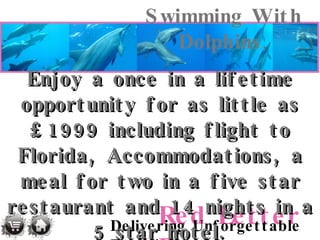 Swimming With Dolphins , Enjoy a once in a lifetime opportunity for as little as £1999 including flight to Florida, Accommodations, a meal for two in a five star restaurant and 14 nights in a 5 star hotel. 