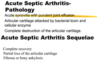 Acute Septic Arthritis-
Pathology
Acute synovitis with purulent joint effusion
Articular cartilage attacked by bacterial toxin and
cellular enzyme
Complete destruction of the articular cartilage.
Acute Septic Arthritis Sequelae
Complete recovery
Partial loss of the articular cartilage
Fibrous or bony ankylosis
 