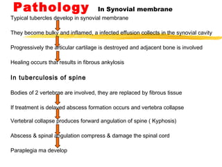 Pathology In Synovial membrane
Typical tubercles develop in synovial membrane
They become bulky and inflamed, a infected effusion collects in the synovial cavity
Progressively the articular cartilage is destroyed and adjacent bone is involved
Healing occurs that results in fibrous ankylosis
In tuberculosis of spine
Bodies of 2 vertebrae are involved, they are replaced by fibrous tissue
If treatment is delayed abscess formation occurs and vertebra collapse
Vertebral collapse produces forward angulation of spine ( Kyphosis)
Abscess & spinal angulation compress & damage the spinal cord
Paraplegia ma develop
 