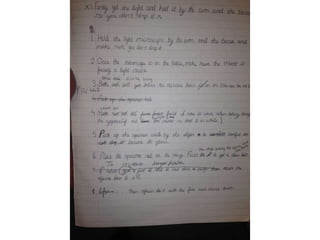 Student drafting in the cells project