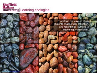 Learning ecologies
Transform the ways in which
students engage with, reflect on,
and record their journeys to
‘becoming professional’.
Ashley Holmes (CC BY-NC-ND 2.0)
 