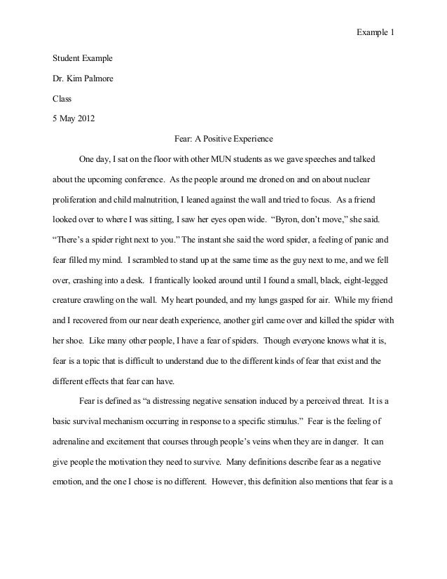 1 3 1 essay