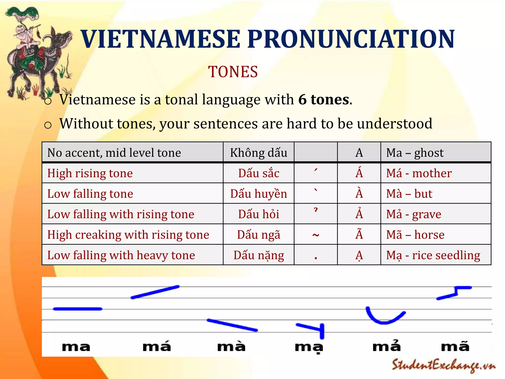 [Student exchange vietnam] Vietnamese language training | PPTX
