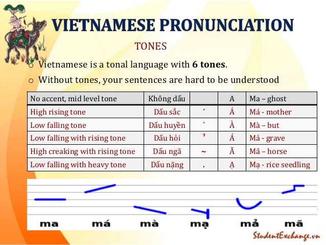 [Student exchange vietnam] Vietnamese language training