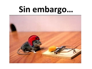 Sin	
  embargo…	
  	
  
 