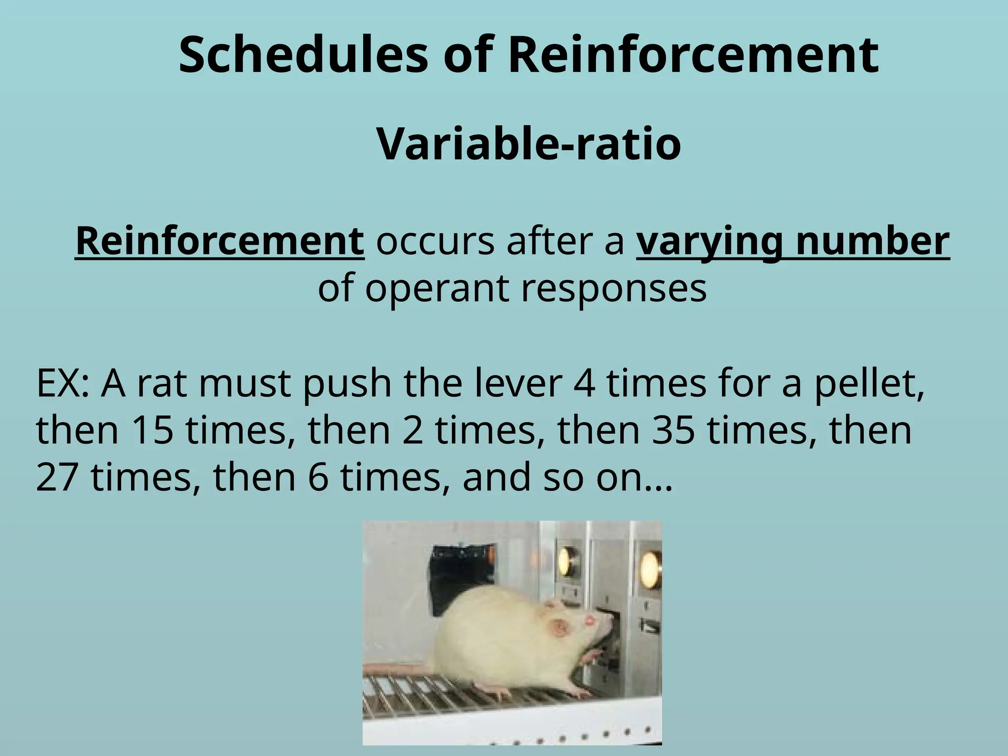 Schedules of Reinforcement
Reinforcement occurs after a varying number
of operant responses
Variable-ratio
EX: A rat must push the lever 4 times for a pellet,
then 15 times, then 2 times, then 35 times, then
27 times, then 6 times, and so on…
 