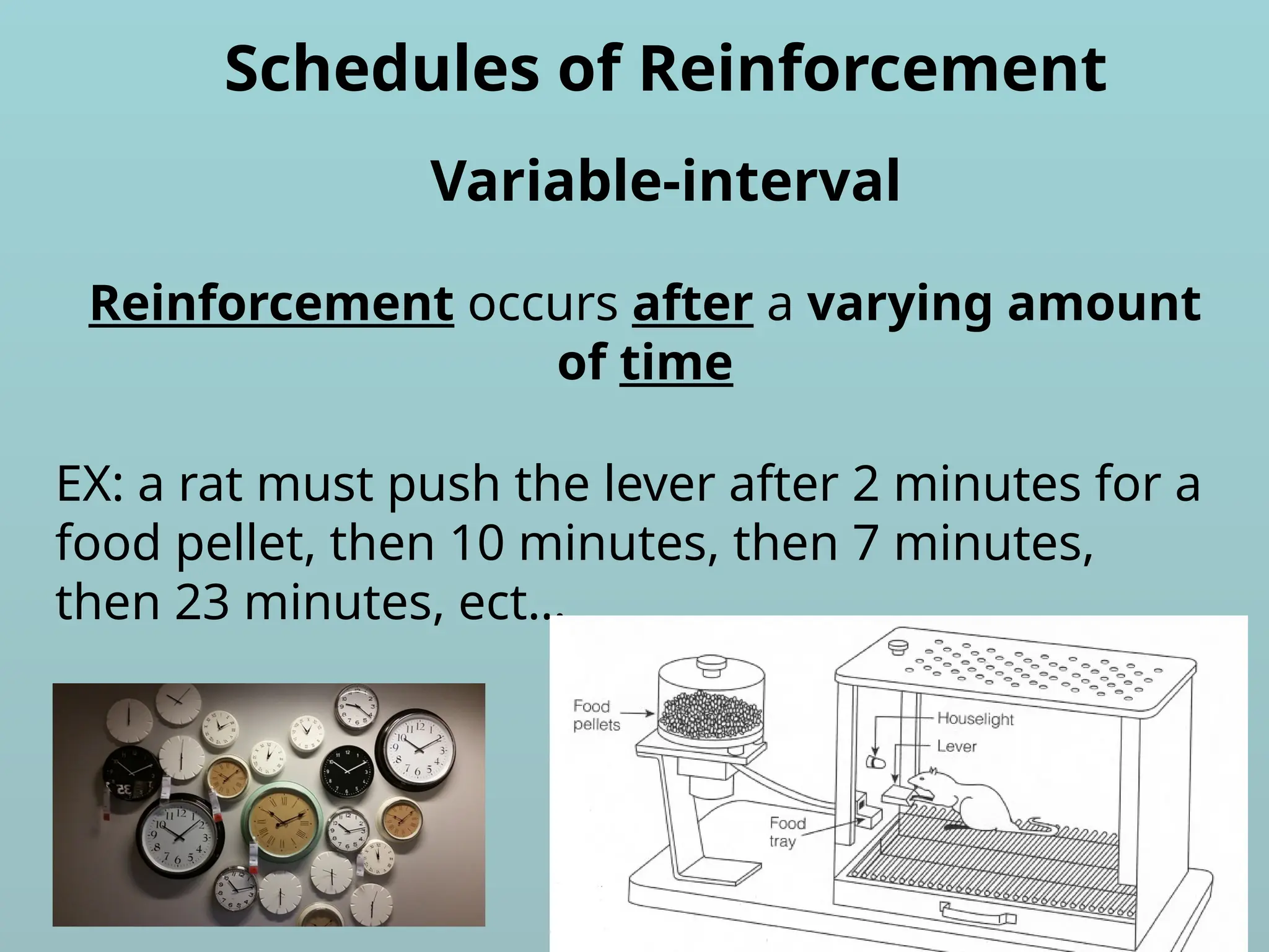 Schedules of Reinforcement
Reinforcement occurs after a varying amount
of time
Variable-interval
EX: a rat must push the lever after 2 minutes for a
food pellet, then 10 minutes, then 7 minutes,
then 23 minutes, ect…
 