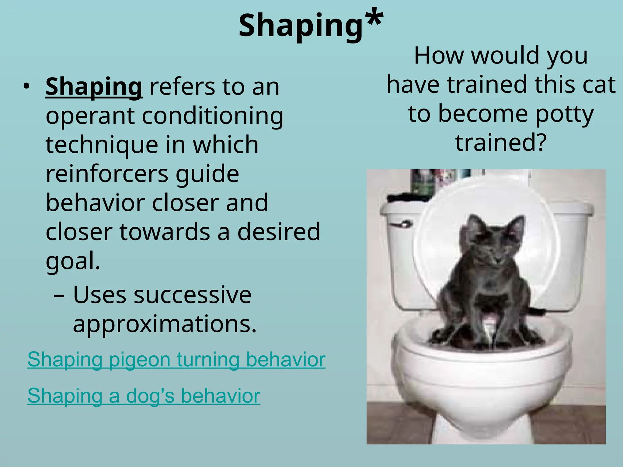 Shaping*
• Shaping refers to an
operant conditioning
technique in which
reinforcers guide
behavior closer and
closer towards a desired
goal.
– Uses successive
approximations.
How would you
have trained this cat
to become potty
trained?
Shaping a dog's behavior
Shaping pigeon turning behavior
 