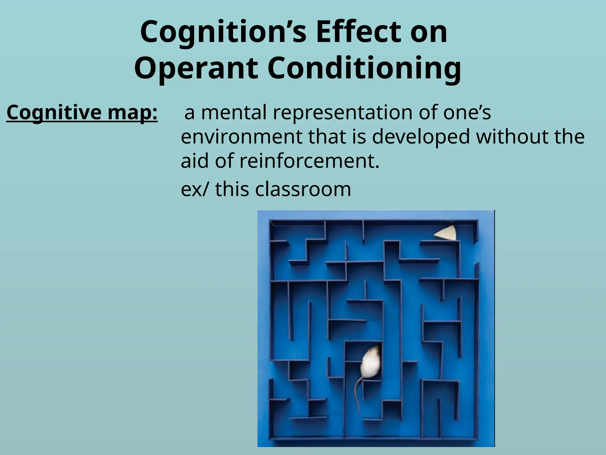 Cognition’s Effect on
Operant Conditioning
Cognitive map: a mental representation of one’s
environment that is developed without the
aid of reinforcement.
ex/ this classroom
 