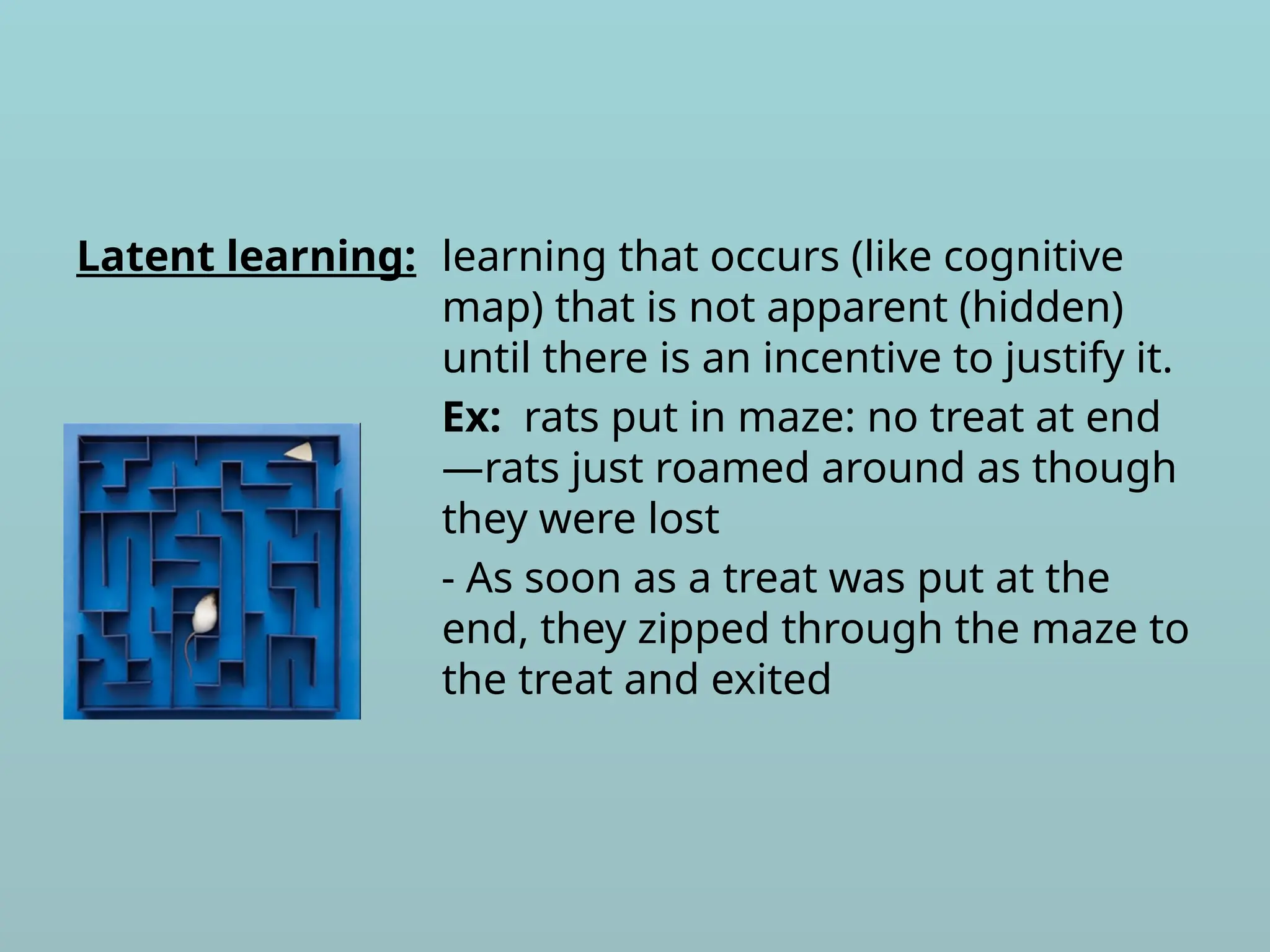 Latent learning: learning that occurs (like cognitive
map) that is not apparent (hidden)
until there is an incentive to justify it.
Ex: rats put in maze: no treat at end
—rats just roamed around as though
they were lost
- As soon as a treat was put at the
end, they zipped through the maze to
the treat and exited
 