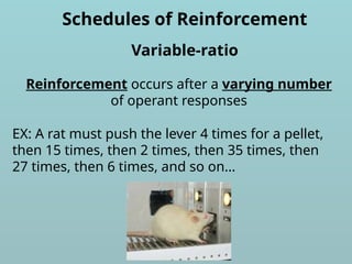 Schedules of Reinforcement
Reinforcement occurs after a varying number
of operant responses
Variable-ratio
EX: A rat must push the lever 4 times for a pellet,
then 15 times, then 2 times, then 35 times, then
27 times, then 6 times, and so on…
 