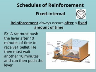 Schedules of Reinforcement
Reinforcement always occurs after a fixed
amount of time
Fixed-interval
EX: A rat must push
the lever after 10
minutes of time to
receive1 pellet. He
then must wait
another 10 minutes,
and can then push the
lever
 