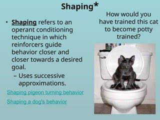 Shaping*
• Shaping refers to an
operant conditioning
technique in which
reinforcers guide
behavior closer and
closer towards a desired
goal.
– Uses successive
approximations.
How would you
have trained this cat
to become potty
trained?
Shaping a dog's behavior
Shaping pigeon turning behavior
 