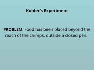 Kohler’s Experiment
PROBLEM: Food has been placed beyond the
reach of the chimps, outside a closed pen.
 