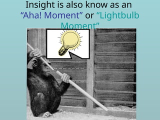 Insight is also know as an
“Aha! Moment” or “Lightbulb
Moment”
 