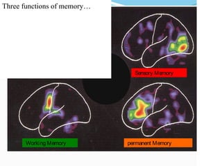 Three functions of memory…




                               Sensory Memory




      Working Memory         permanent Memory


                                                74
 