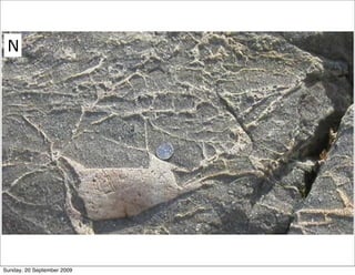 N




Sunday, 20 September 2009
 