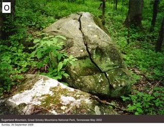 O




Sunday, 20 September 2009
 