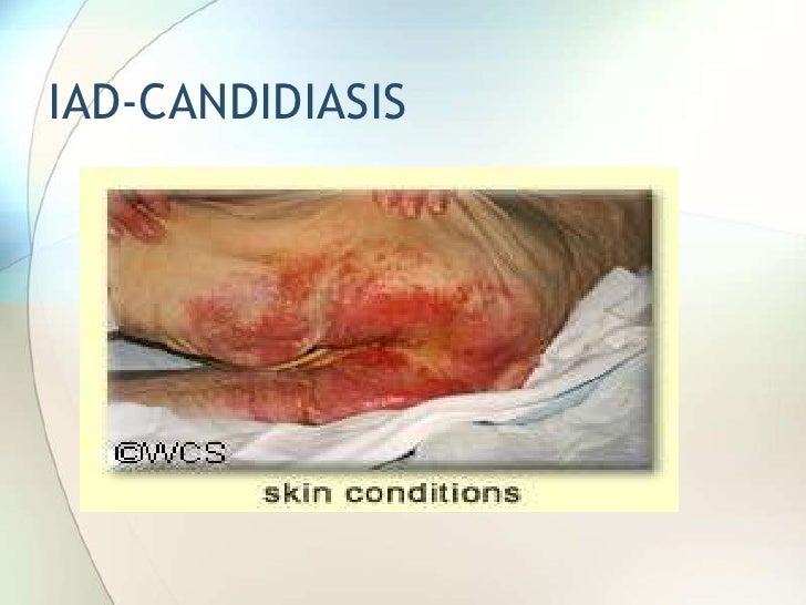 Studentnurseconventionlecture