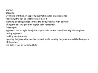 staring
growling
wrinkling or lifting an upper lip (sometimes for a split second)
retracting the lips so that teeth are bared
standing on straight legs so that the body shows a high posture
lifting the tail to a position higher than horizontal
freezing up
approach in a straight line (direct approach) unless non-threat signals are given
during approach
barking in a low tone
opening the jaws wide, teeth exposed, while moving the jaws around the face/neck
of the other
the delivery of an inhibited bite
 