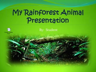 My Rainforest Animal Presentation By:  Student 