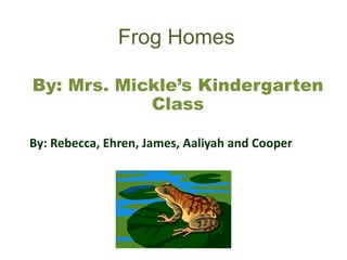 Frog Homes
By: Mrs. Mickle’s Kindergarten
Class
By: Rebecca, Ehren, James, Aaliyah and Cooper
 