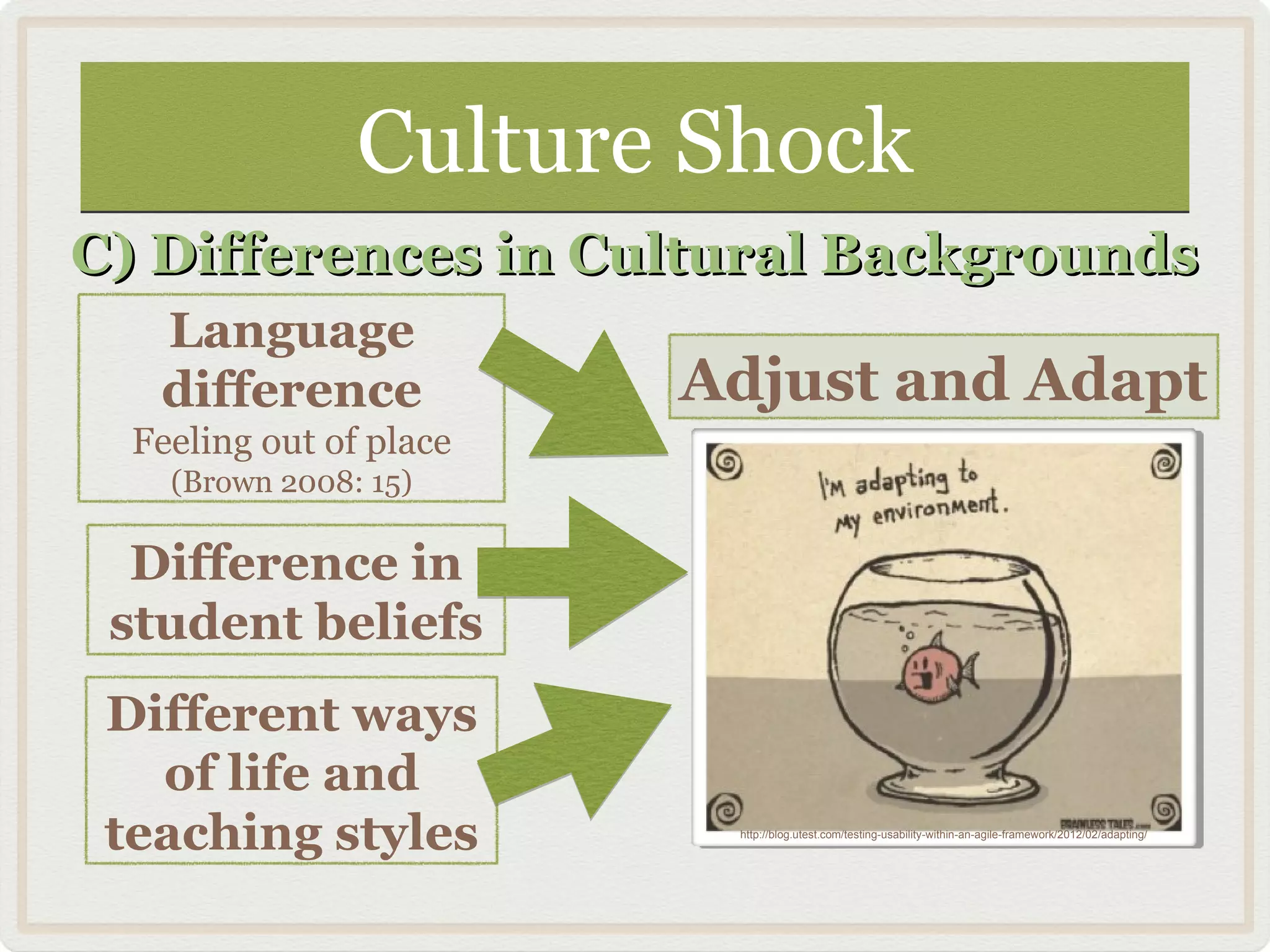 Culture ShockCulture Shock
C) Differences in Cultural BackgroundsC) Differences in Cultural Backgrounds
Language
difference
Feeling out of place
(Brown 2008: 15)
Difference in
student beliefs
Different ways
of life and
teaching styles
Adjust and Adapt
http://blog.utest.com/testing-usability-within-an-agile-framework/2012/02/adapting/
 