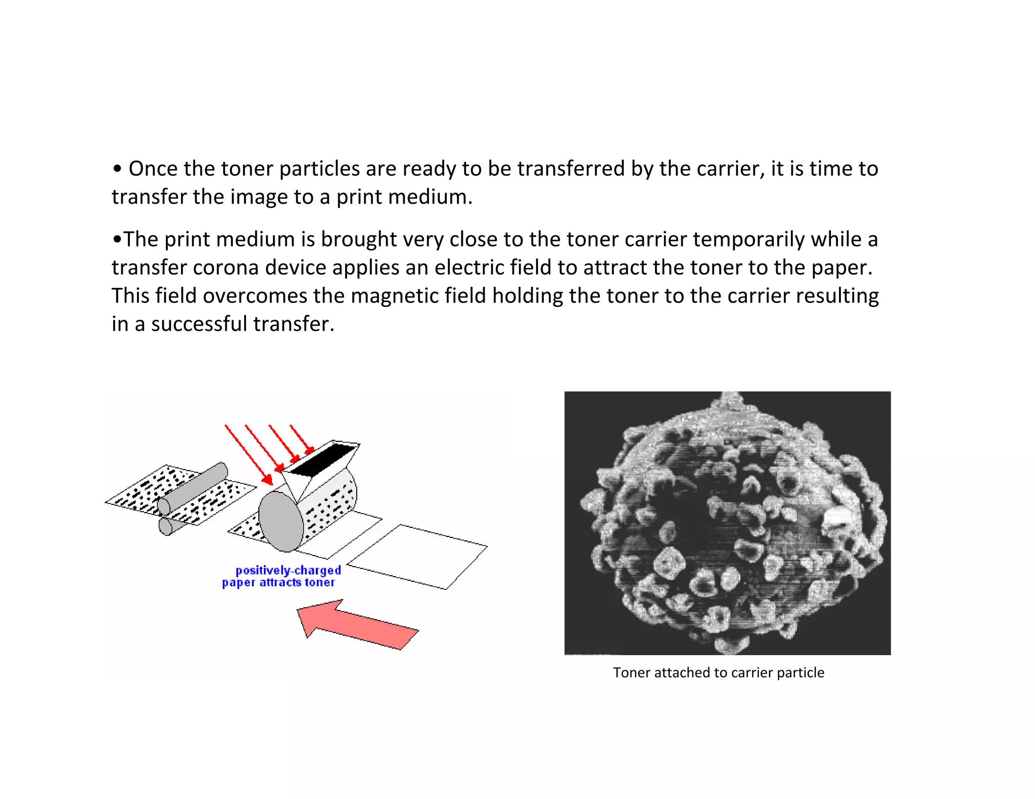 • Once the toner particles are ready to be transferred by the carrier, it is time to
transfer the image to a print medium.
•The print medium is brought very close to the toner carrier temporarily while a
transfer corona device applies an electric field to attract the toner to the paper.
This field overcomes the magnetic field holding the toner to the carrier resulting
in a successful transfer.
Toner attached to carrier particle
 