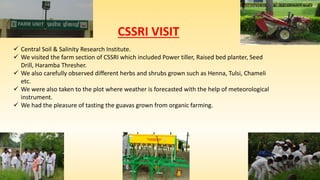 CSSRI VISIT
 Central Soil & Salinity Research Institute.
 We visited the farm section of CSSRI which included Power tiller, Raised bed planter, Seed
Drill, Haramba Thresher.
 We also carefully observed different herbs and shrubs grown such as Henna, Tulsi, Chameli
etc.
 We were also taken to the plot where weather is forecasted with the help of meteorological
instrument.
 We had the pleasure of tasting the guavas grown from organic farming.
 