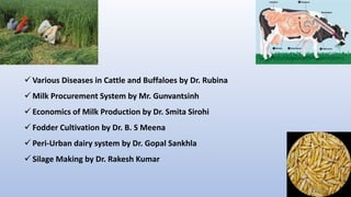  Various Diseases in Cattle and Buffaloes by Dr. Rubina
 Milk Procurement System by Mr. Gunvantsinh
 Economics of Milk Production by Dr. Smita Sirohi
 Fodder Cultivation by Dr. B. S Meena
 Peri-Urban dairy system by Dr. Gopal Sankhla
 Silage Making by Dr. Rakesh Kumar
 