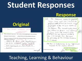 Student Responses
Teaching, Learning & Behaviour
Original
Response
 