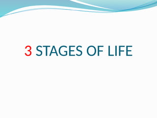 3 STAGES OF LIFE
 
