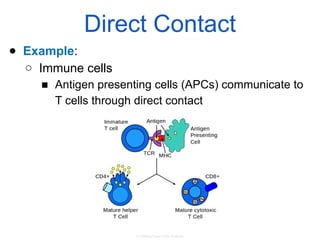 Direct Point Contact Comprehensive Guide to Cell Communication and Signal Transduction ...