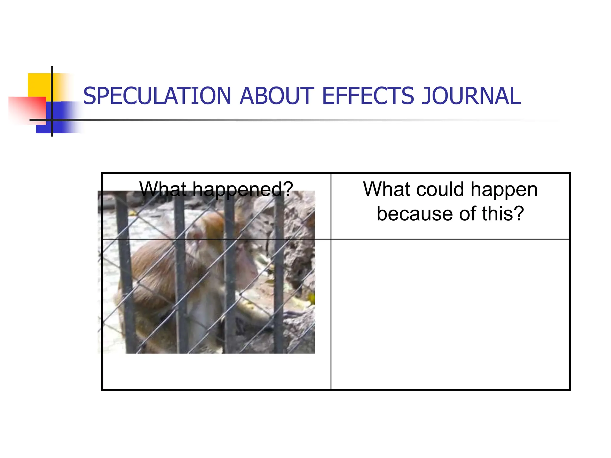 SPECULATION ABOUT EFFECTS JOURNAL
What happened? What could happen
because of this?
 