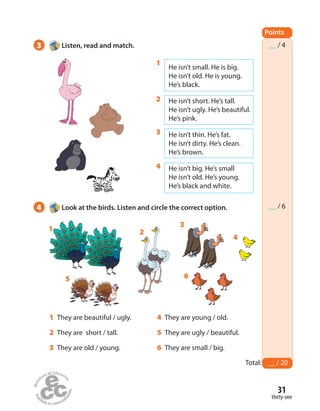 3 Listen, read and match.
4 Look at the birds. Listen and circle the correct option.
Points
__ / 4
__ / 6
Total: __ / 20
2
3
6
1
4
5
1 They are beautiful / ugly.
2 They are short / tall.
3 They are old / young.
4 They are young / old.
5 They are ugly / beautiful.
6 They are small / big.
thirty-one
31
He isn’t small. He is big.
He isn’t old. He is young.
He’s black.
He isn’t short. He’s tall.
He isn’t ugly. He’s beautiful.
He’s pink.
He isn’t thin. He’s fat.
He isn’t dirty. He’s clean.
He’s brown.
He isn’t big. He’s small
He isn’t old. He’s young.
He’s black and white.
1
2
3
4
 