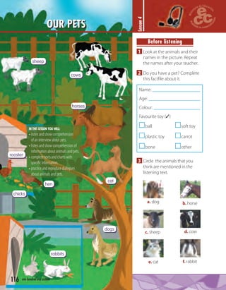 116 one hundred and sixteen
OUR PETS
Lesson4
Before listening
1 Look at the animals and their
names in the picture. Repeat
the names after your teacher.
2 Do you have a pet? Complete
this factﬁle about it.
Name:
Age:
Colour:
Favourite toy (✓)
ball soft toy
plastic toy carrot
bone other
3 Circle the animals that you
think are mentioned in the
listening text.
a. dog b. horse
d. cowc. sheep
e. cat f. rabbit
cows
horses
cat
rooster
hen
chicks
rabbits
dogs
sheep
IN THIS LESSON YOU WILL:
• listen and show comprehension
of an interview about pets.
• listen and show comprehension of
information about animals and pets.
• complete texts and charts with
speciﬁc information.
• practice and reproduce dialogues
about animals and pets.
 