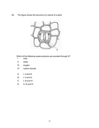 26.    The figure shows the structure of a stoma of a plant.




                                                     X


      Which of the following waste products are excreted through X?
       I     urea
       II    water
       III   oxygen
       IV    carbon dioxide

       A     I, II and III
       B     I, II and IV
       C     I, III and IV
       D     II, III and IV




                                           13
 