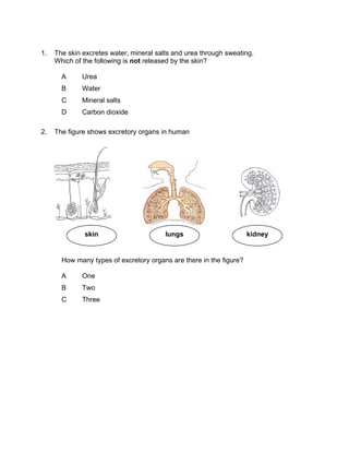 1.   The skin excretes water, mineral salts and urea through sweating.
     Which of the following is not released by the skin?

       A      Urea
       B      Water
       C      Mineral salts
       D      Carbon dioxide

2.   The figure shows excretory organs in human




              skin                       lungs                       kidney


       How many types of excretory organs are there in the figure?

       A      One
       B      Two
       C      Three
 