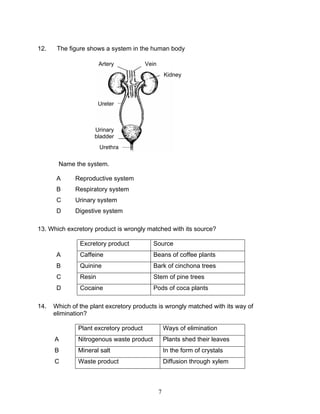 12.    The figure shows a system in the human body

                       Artery           Vein
                                                   Kidney




                       Ureter



                    Urinary
                    bladder
                       Urethra

       Name the system.

       A     Reproductive system
       B     Respiratory system
       C     Urinary system
       D     Digestive system

13. Which excretory product is wrongly matched with its source?

               Excretory product          Source
       A       Caffeine                   Beans of coffee plants
       B       Quinine                    Bark of cinchona trees
       C       Resin                      Stem of pine trees
       D       Cocaine                    Pods of coca plants

14.   Which of the plant excretory products is wrongly matched with its way of
      elimination?

              Plant excretory product              Ways of elimination
      A       Nitrogenous waste product            Plants shed their leaves
      B       Mineral salt                         In the form of crystals
      C       Waste product                        Diffusion through xylem



                                               7
 