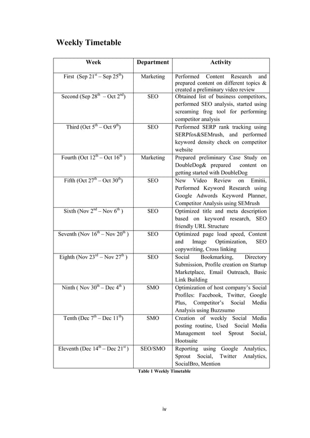 BSC CSIT Final Year Internship Experience Report on SEO | PDF